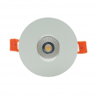 Pina Downlight