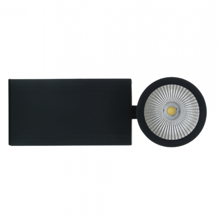 Alpine Track Light