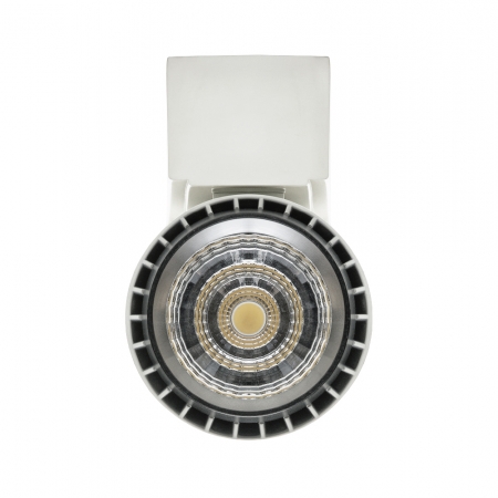 Athos Track Light